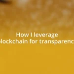 How I leverage blockchain for transparency